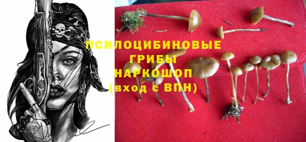 прущая мука Аркадак