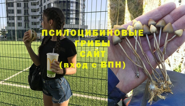 дживик Армянск