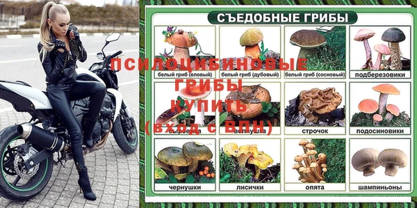 дживик Армянск